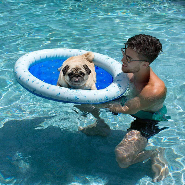 Pet Float - Small to Medium dogs up to 30 lbs.